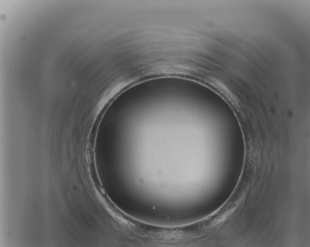 X0000062870893200601201751