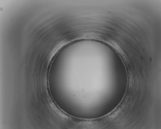 X0000062870896200601201751