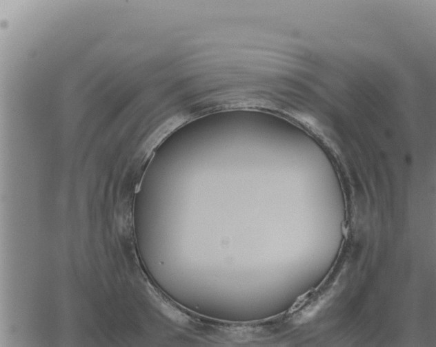 X0000062870897200601201751