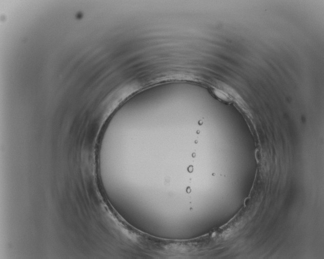 X0000062870898200601201751