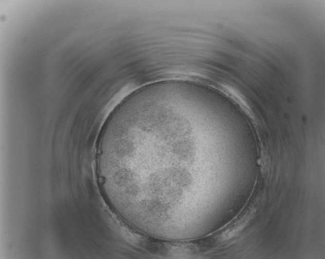 X0000062870899200601201751