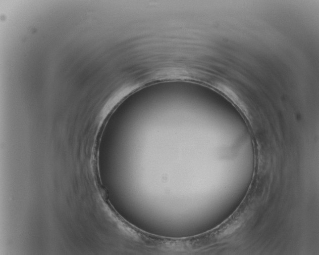 X0000062870901200601201751