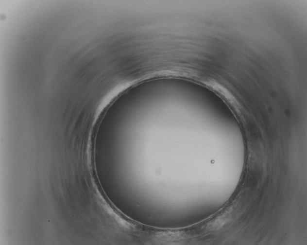 X0000062870902200601201751