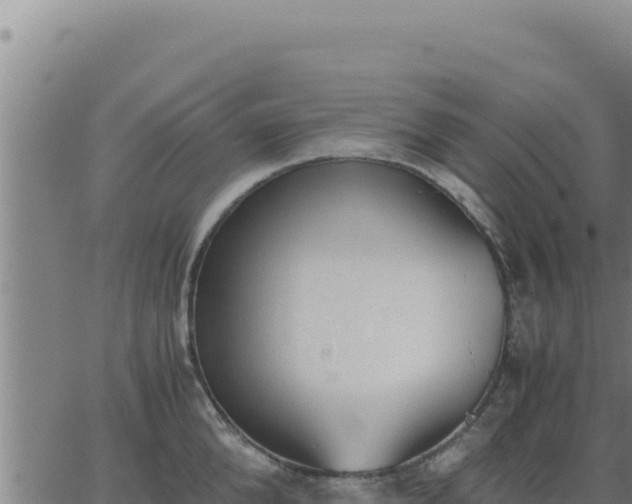 X0000062870904200601201751