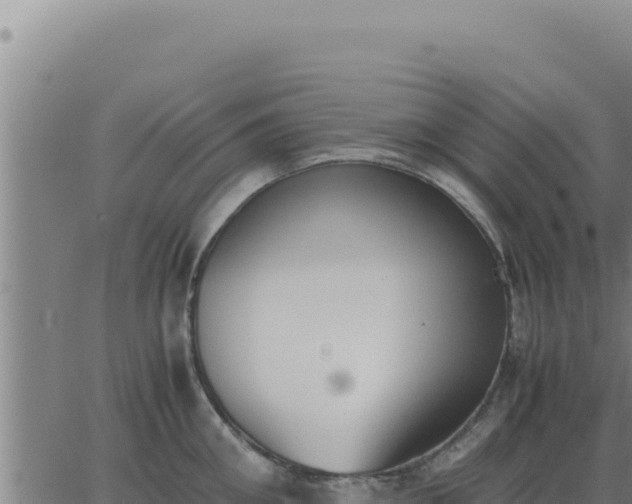 X0000062870906200601201751