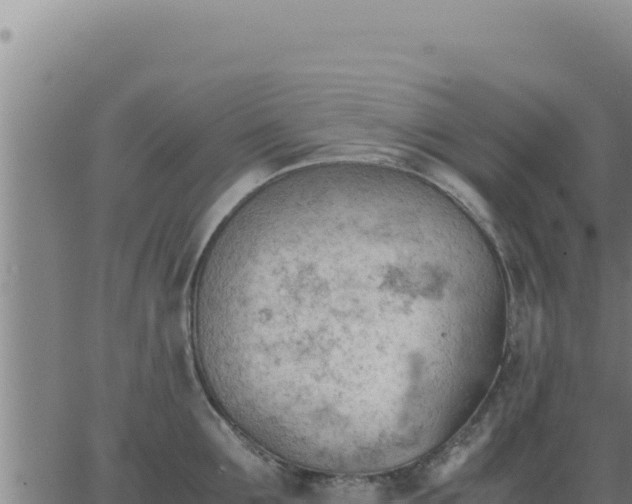 X0000062870907200601201751