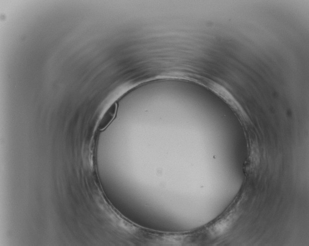 X0000062870908200601201751