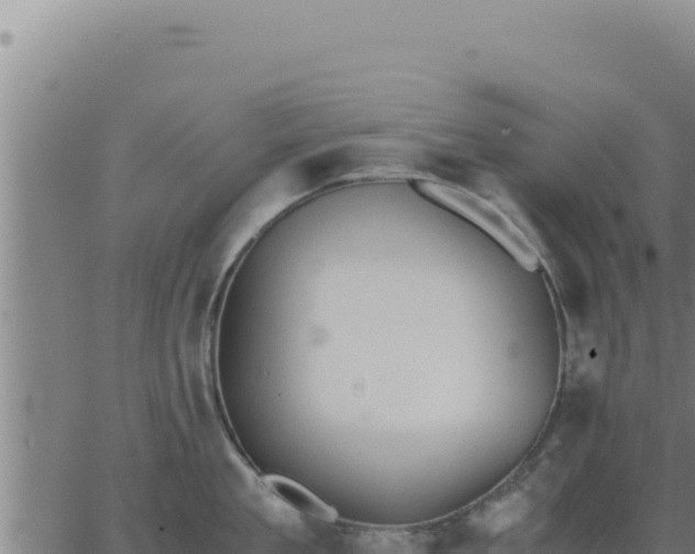 X0000062870909200601201751