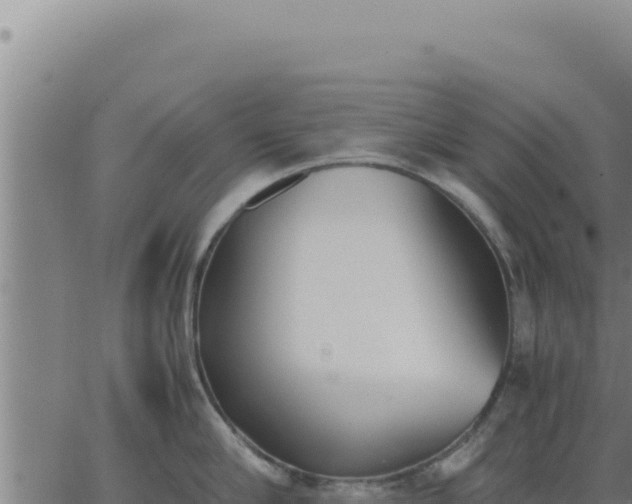 X0000062870910200601201751