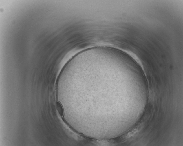 X0000062870911200601201751