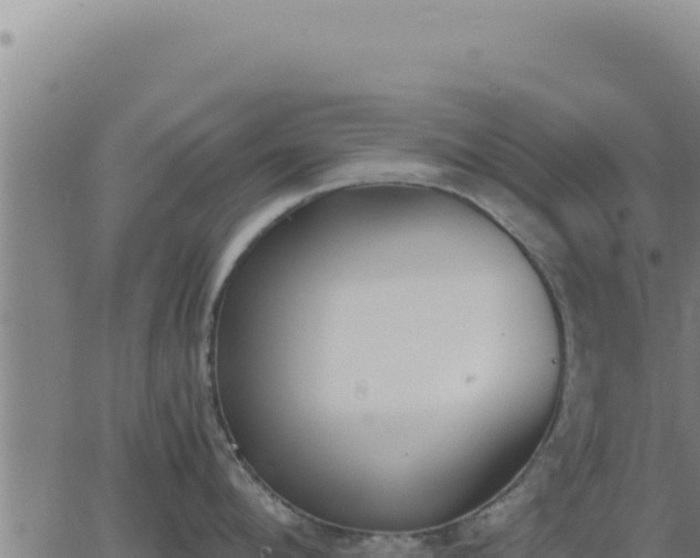 X0000062870912200601201751