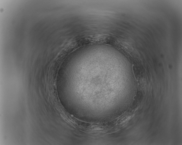 X0000062870913200601201750