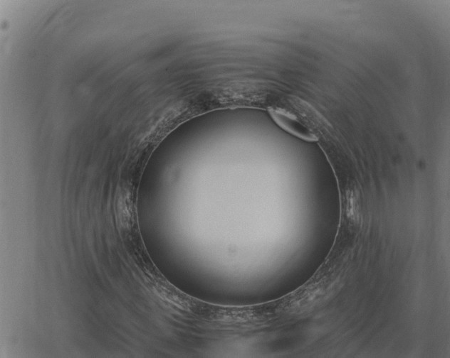 X0000062870915200601201750