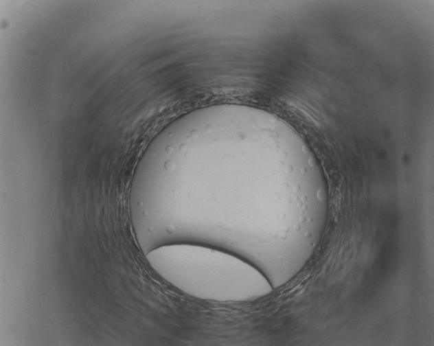 X0000062870917200601201750