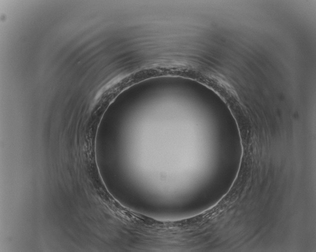 X0000062870920200601201750