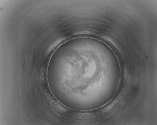 X0000062870921200601201750