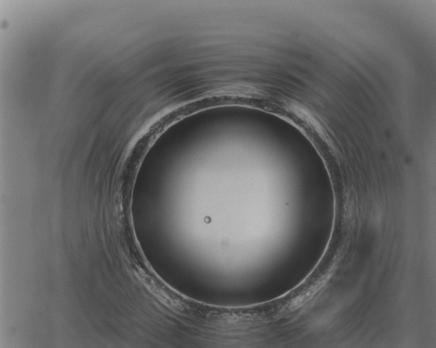 X0000062870923200601201750