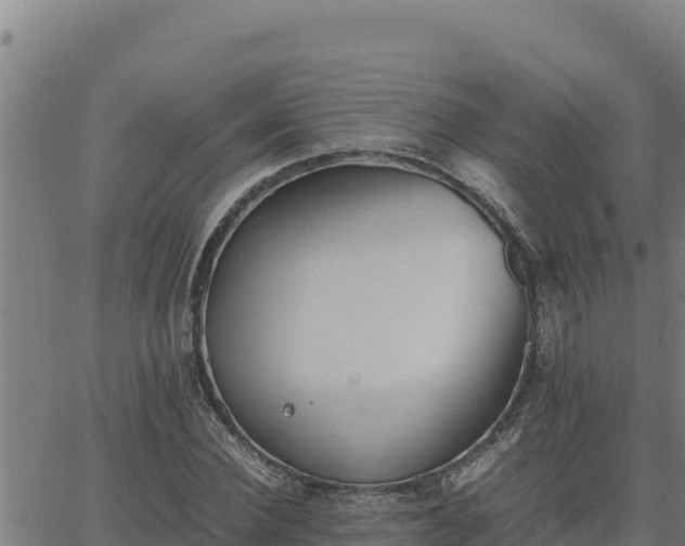 X0000062870924200601201750