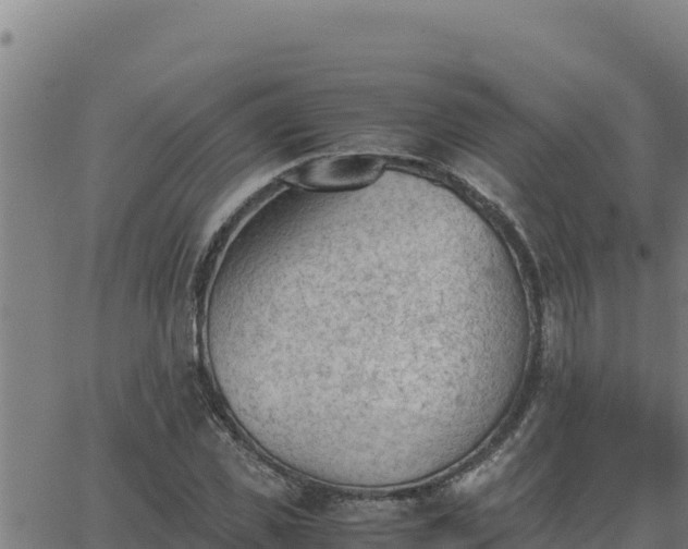 X0000062870925200601201750