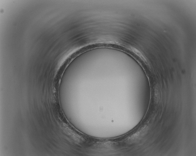 X0000062870926200601201750