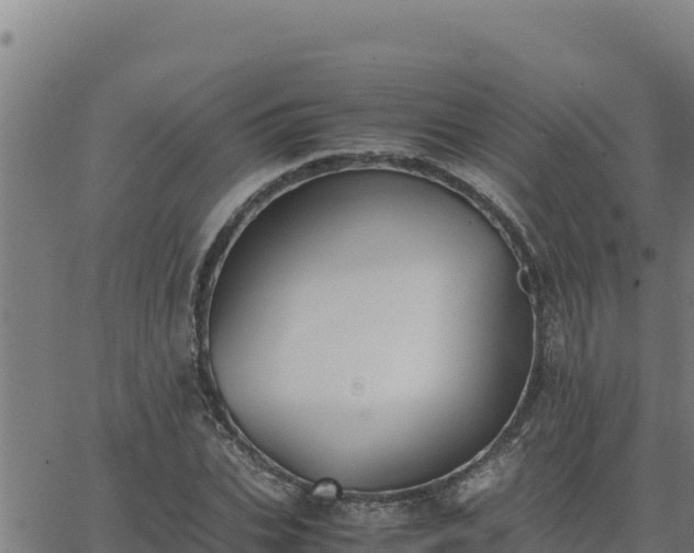 X0000062870927200601201750