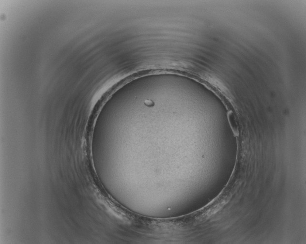 X0000062870928200601201750