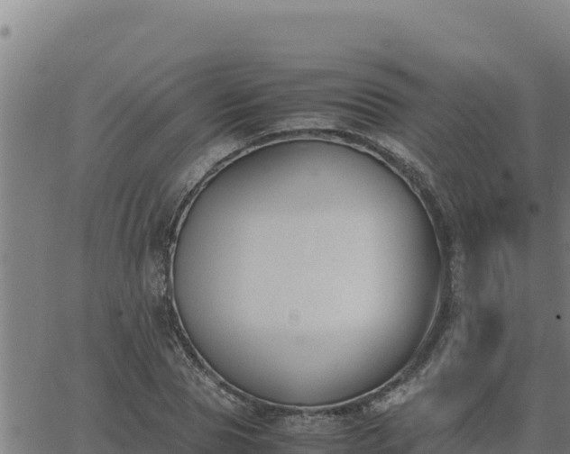 X0000062870929200601201750