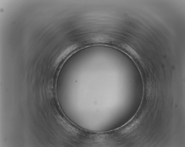 X0000062870930200601201750