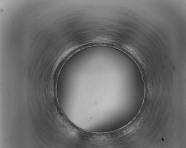 X0000062870931200601201750