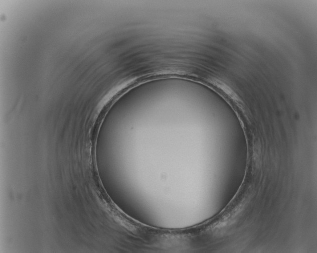 X0000062870933200601201750