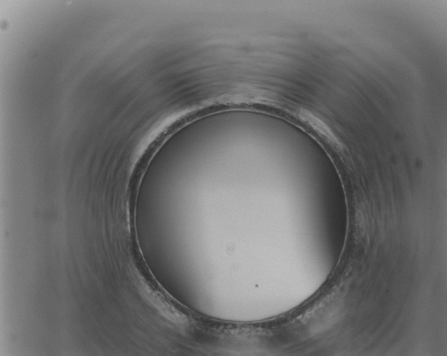 X0000062870934200601201750