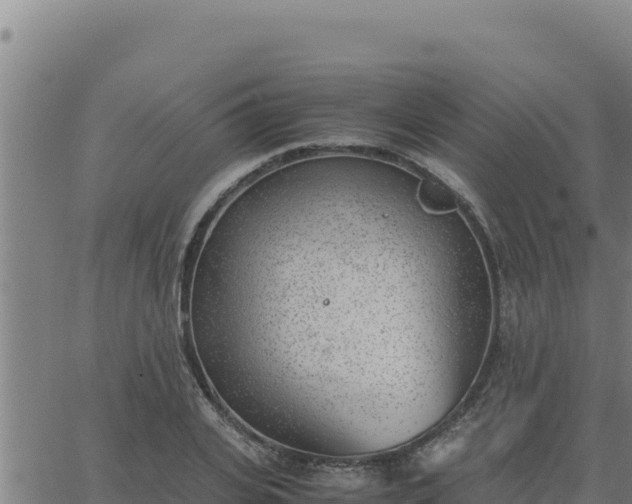 X0000062870935200601201750