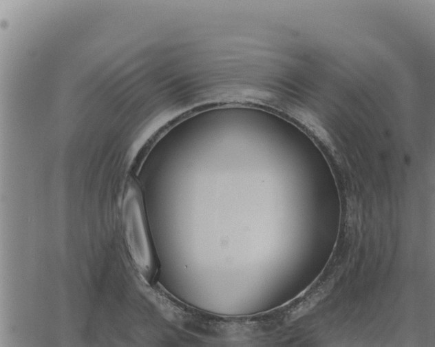 X0000062870936200601201750