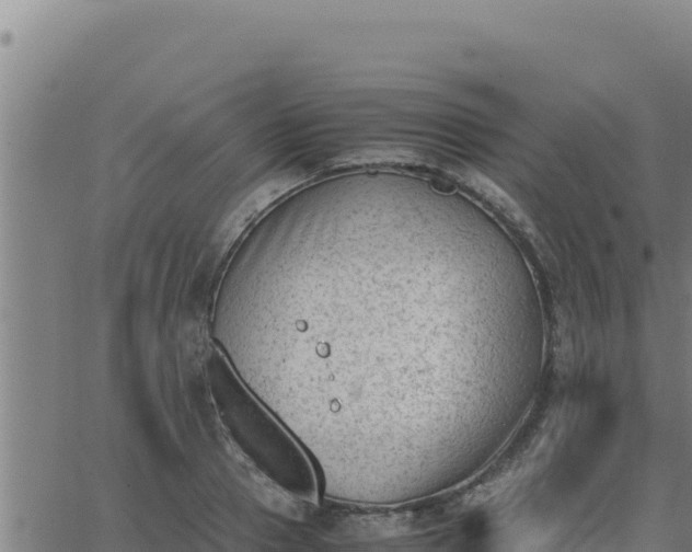 X0000062870937200601201750