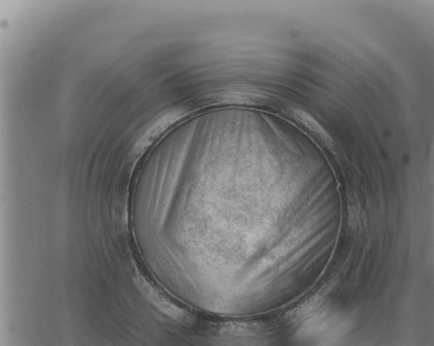 X0000062870938200601201750