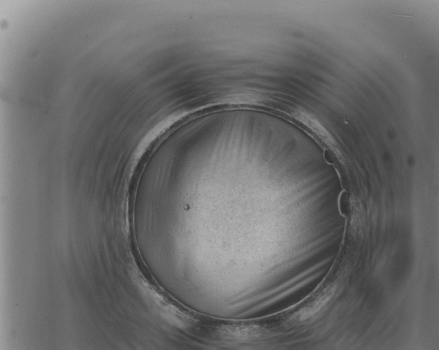 X0000062870939200601201751