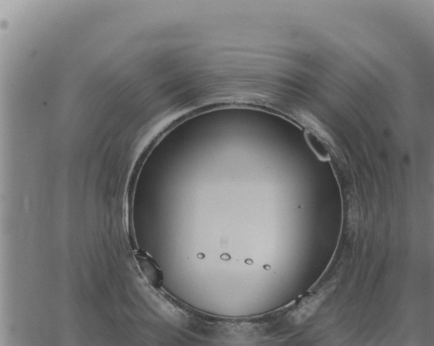 X0000062870940200601201751