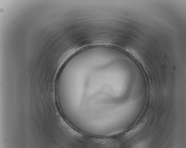 X0000062870941200601201751