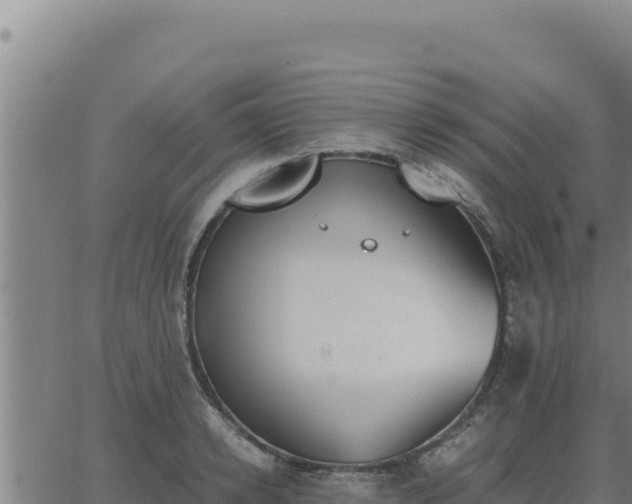 X0000062870942200601201751