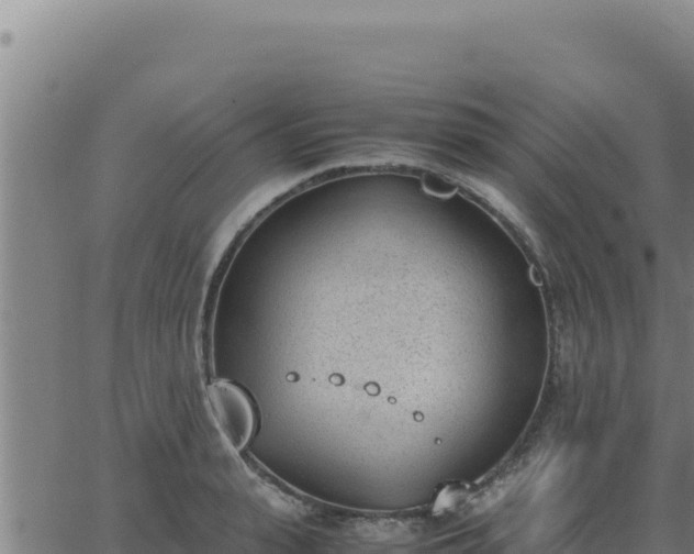 X0000062870943200601201751