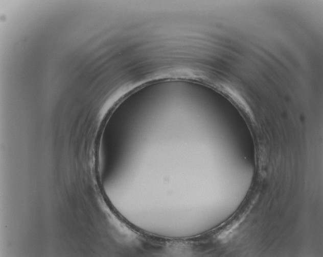 X0000062870944200601201751