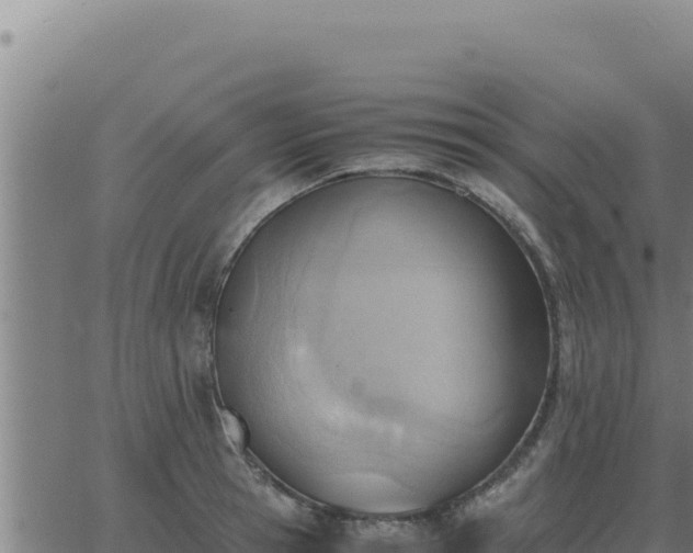 X0000062870945200601201751