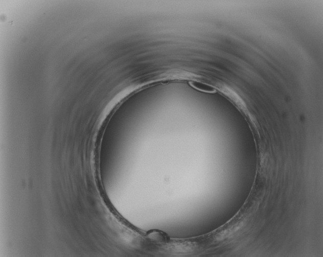 X0000062870947200601201751