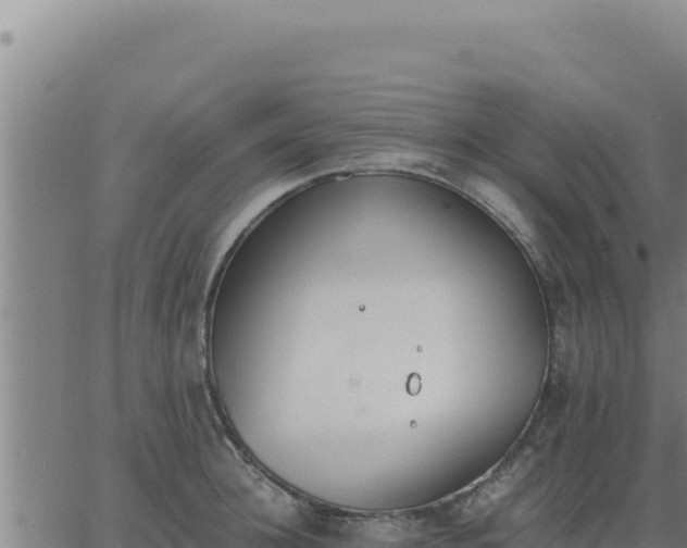 X0000062870948200601201751