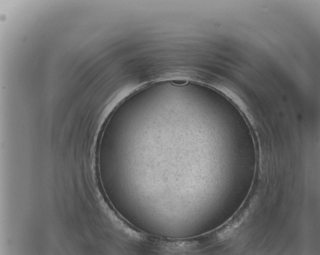 X0000062870949200601201751