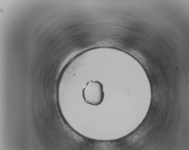 X0000062870950200601201751