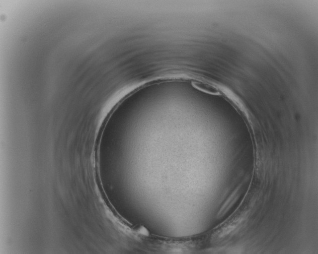 X0000062870951200601201751