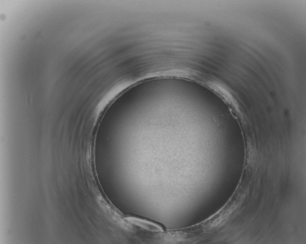 X0000062870952200601201751