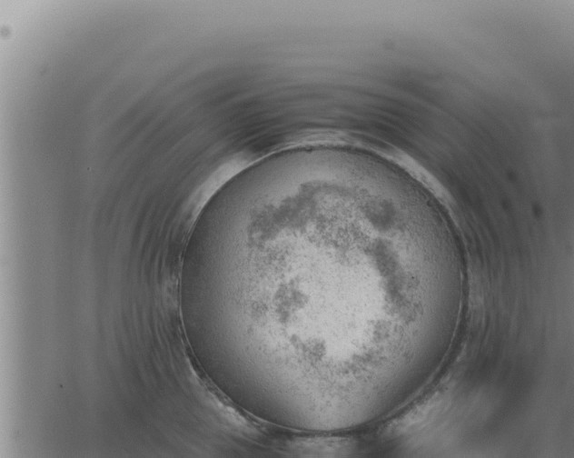 X0000062870953200601201751