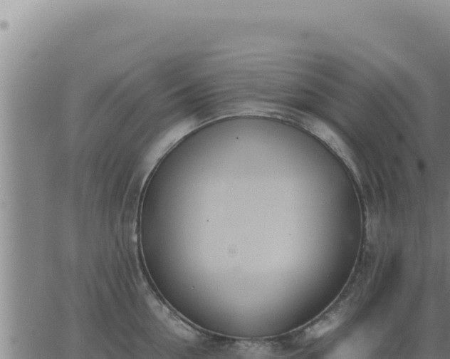 X0000062870954200601201751